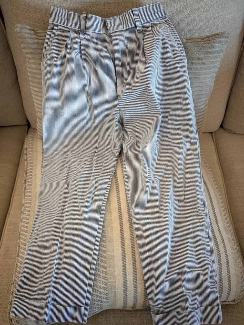 Class Club Blue & White Pinstripe Pleated Chinos